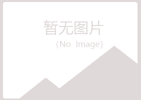 伊春西林初夏零售有限公司